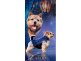 Scandvik Xargo