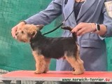 Пинануар Жером К Джером Пинануар Жером К Джером